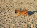 ORPHEE en 2007