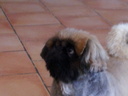 Froufrou